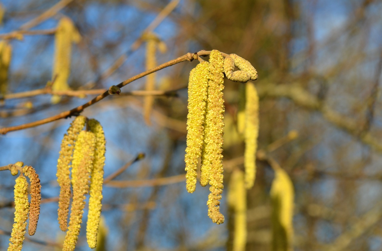 儿童常见病必备手册# 在花粉播散期，不带宝宝去树木花草多的公园或野外；外出时加强