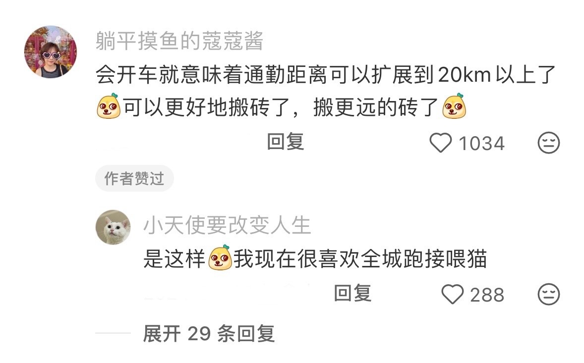会开车后感觉世界观都变了 ​​​