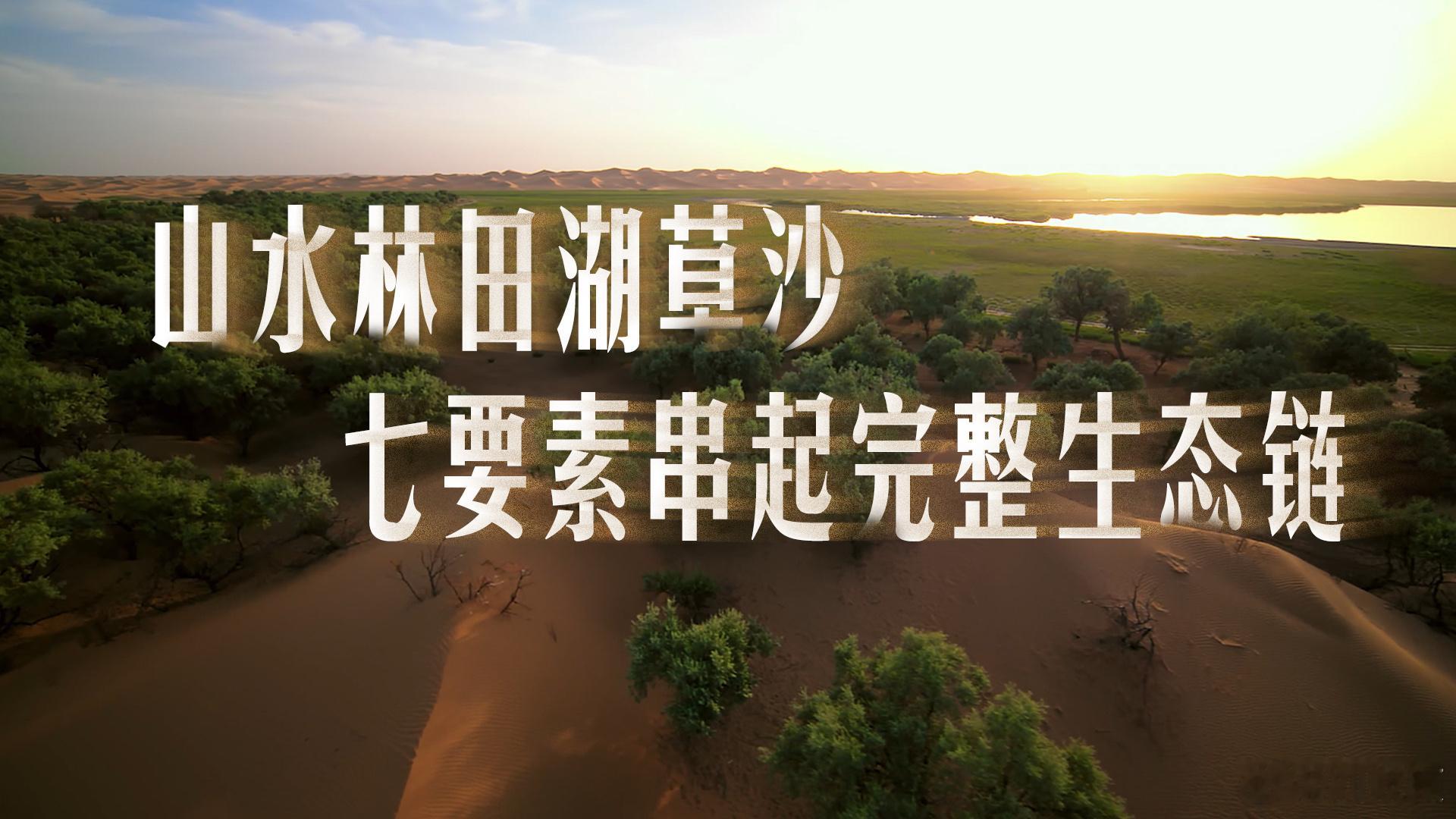 🌊特仑苏会员日大馈赠🌊        第一次我见靳东，是《闯关东》里的龟田一