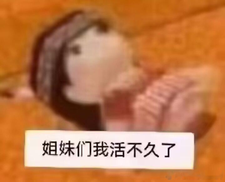 9329姐妹们我活不久了 