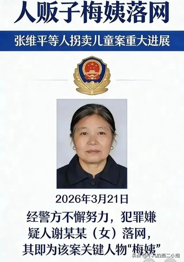 梅姨被抓，最害怕的恐怕是她的同居男友彭某了！

他一想到自己曾经的枕边人，看起来