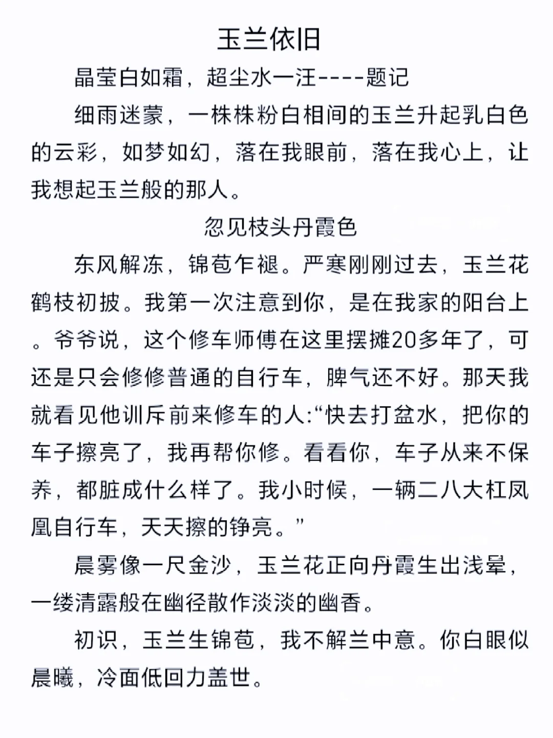 初中作文《玉兰依旧》，社会温暖