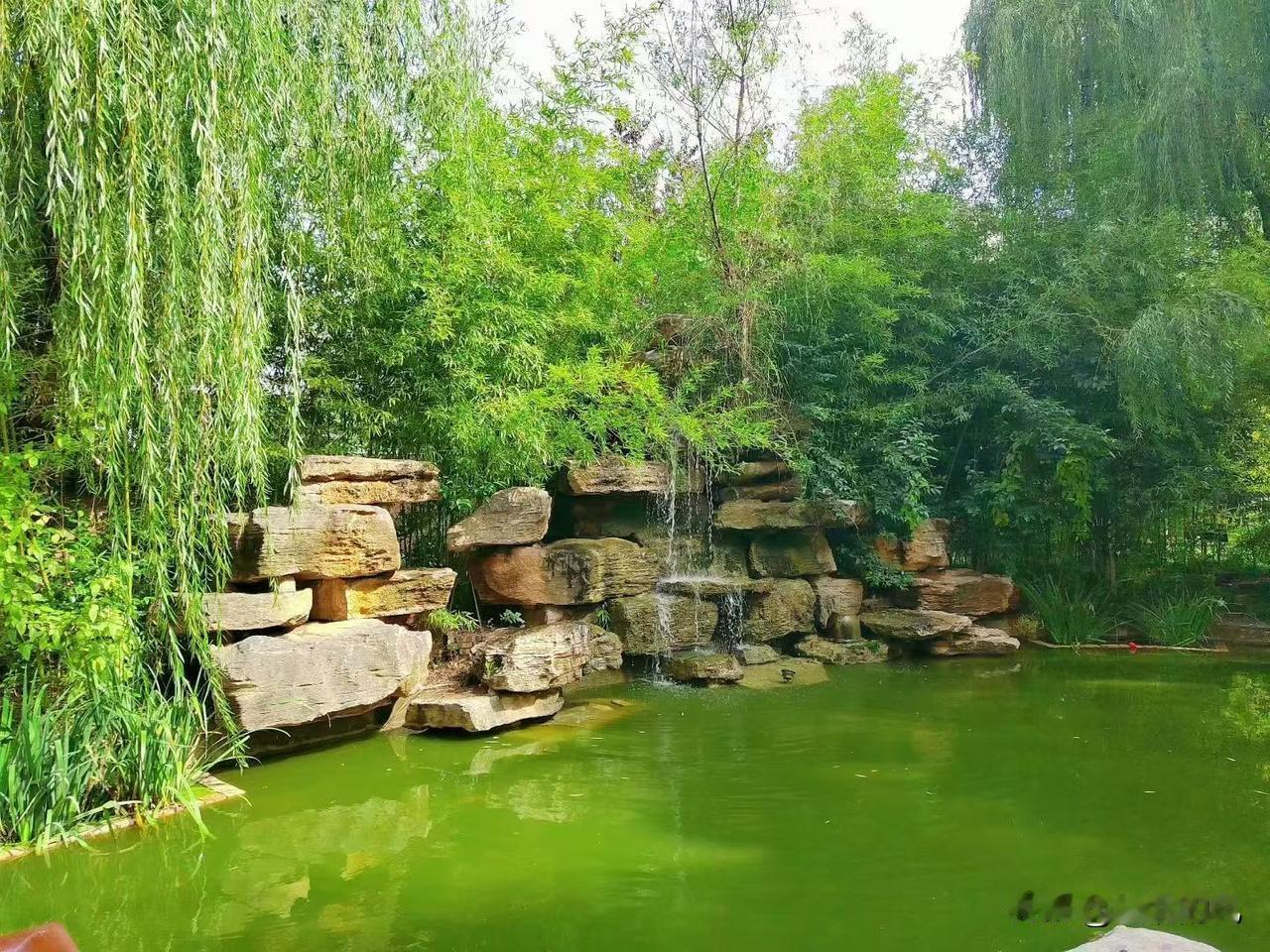 很多人抱怨头条不好写了，写出来阅读量太低了，低到不忍直视。其实，写头条没什么讲究