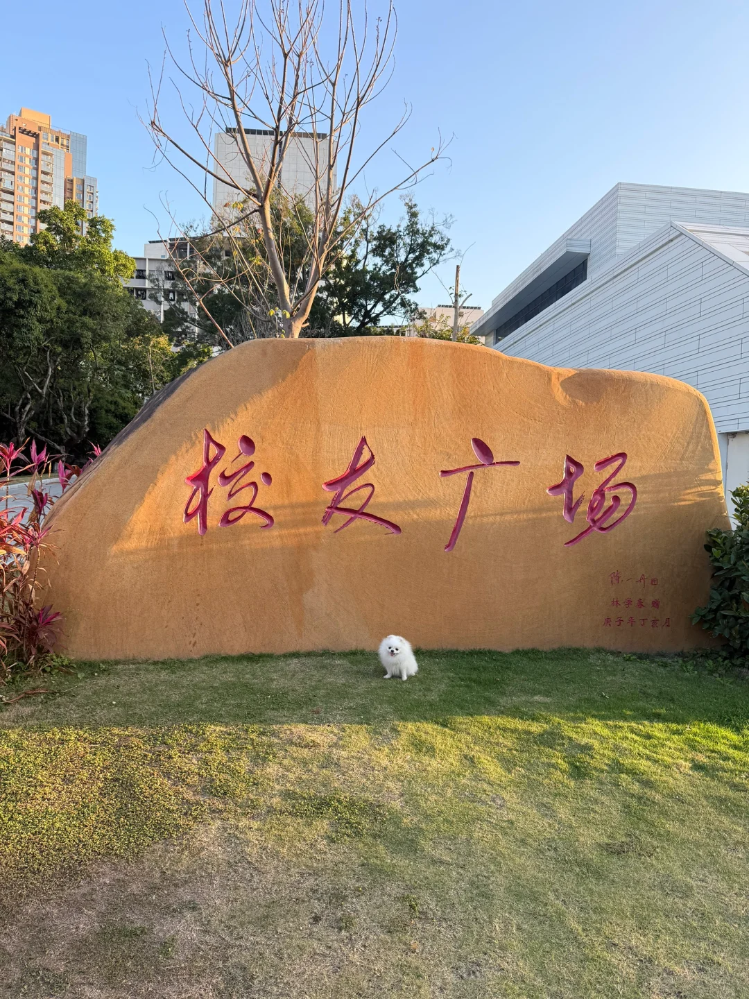 深大著名校友