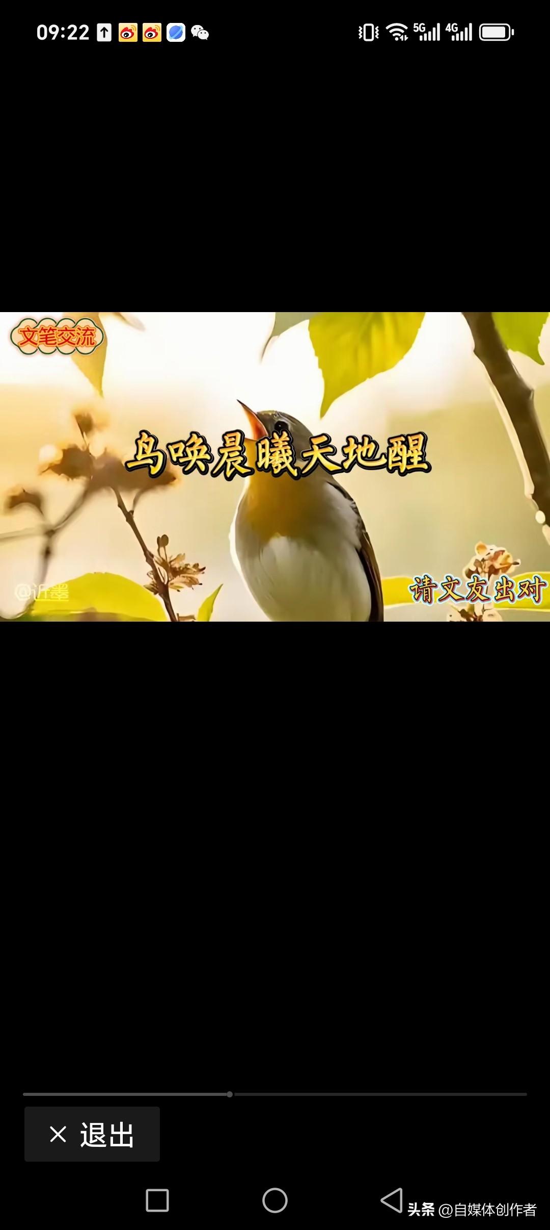 鸟唤晨曦天地酲
春回大地人间美