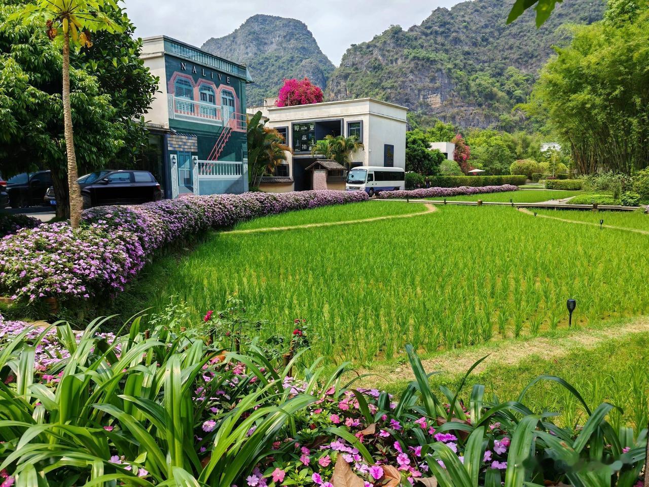 还在看续资治通鉴长编，正看到宋太宗赵光义做的一件事，把中了进士的官二代全部罢免了