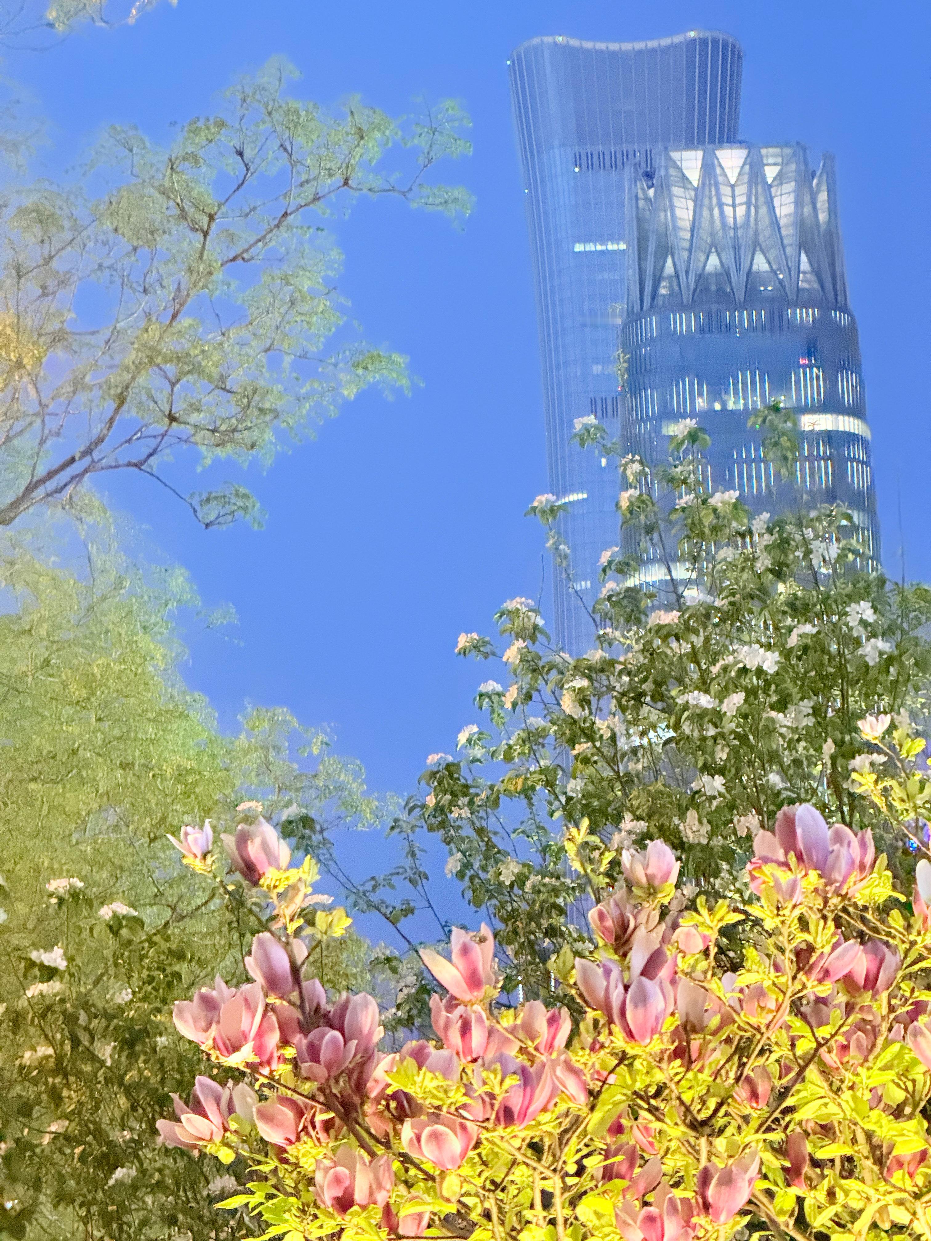 任豪POI 邀好运看花