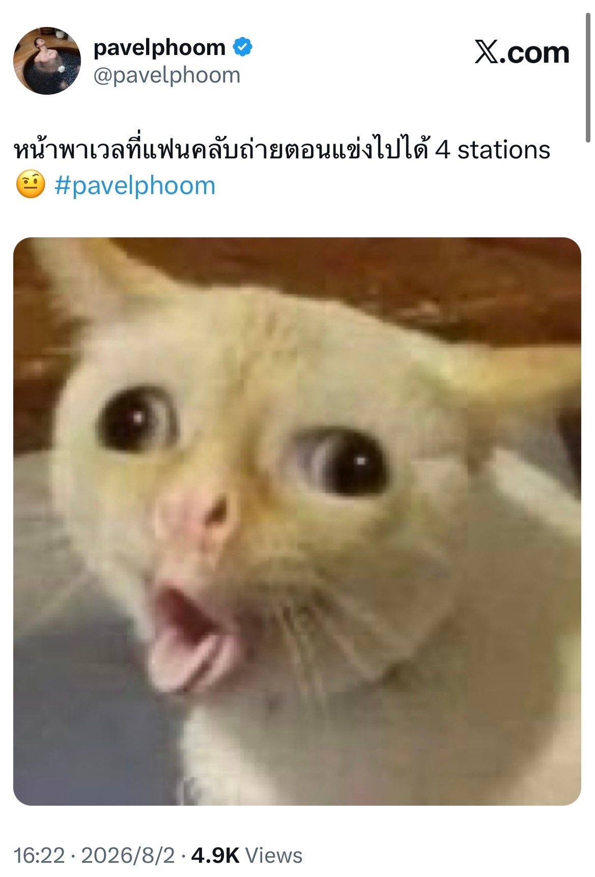 帕：在比赛进行到第四个station时粉丝们拍到的pvl的表情 