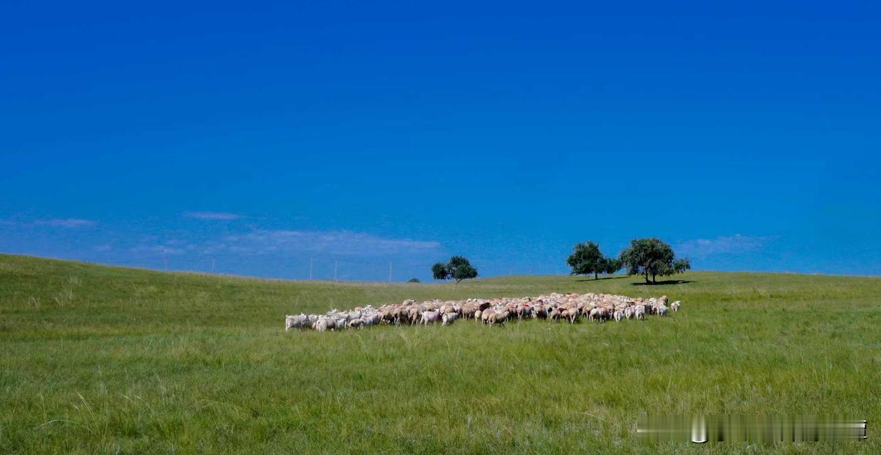 上联：冬去山明水秀，下联：请你来春来鸟语花香