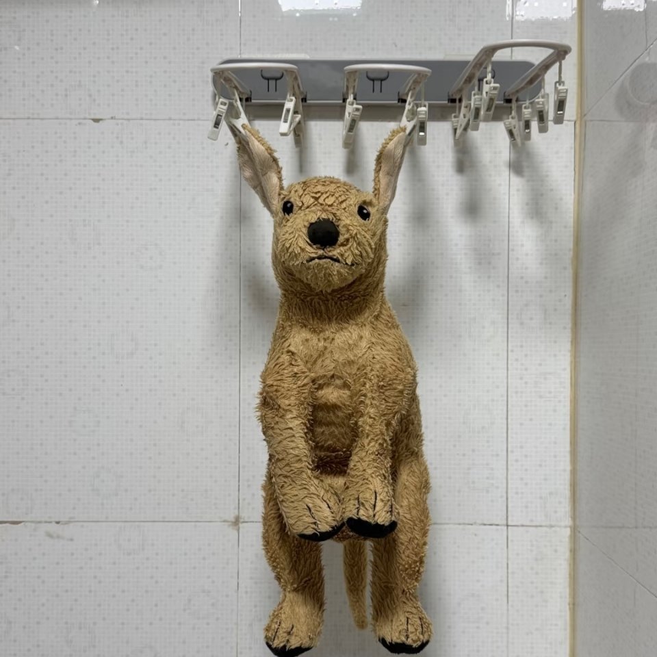 无情主人肆意悬挂小狗儿！！汪汪可怜脖颈断裂！是人性的丧失，还是道德的沦陷。请看本