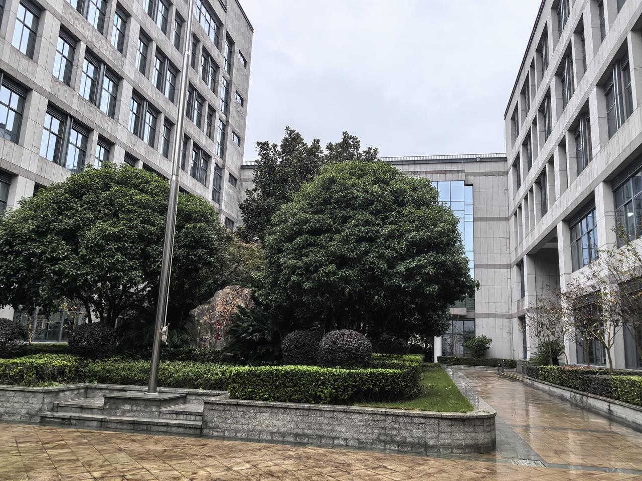 既然“八法五步”是太极拳的基础，可为什么不先教呢？
      老年大学的太极拳