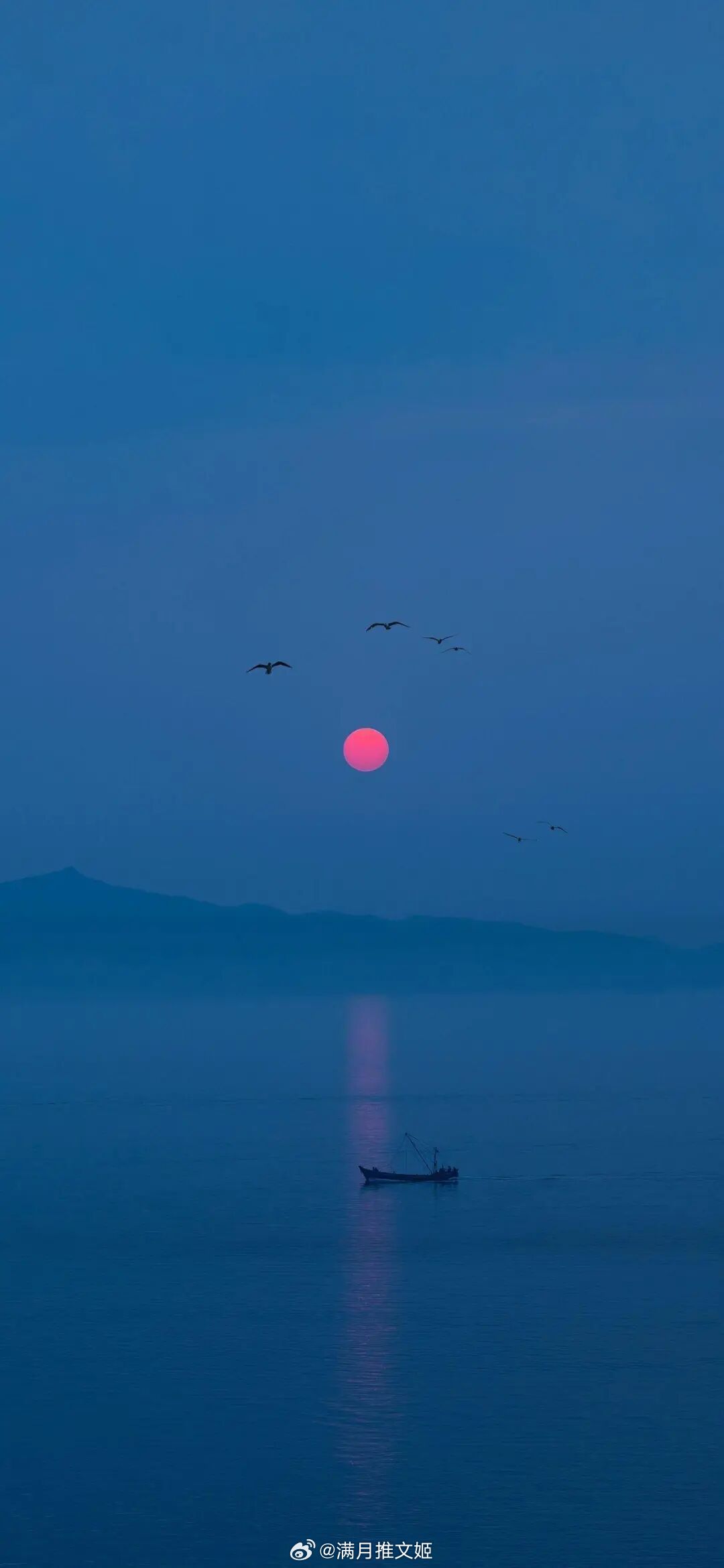 我们要有最朴素的生活，与最遥远的梦想。即使明日天寒地冻，路远马亡。——七堇年《被