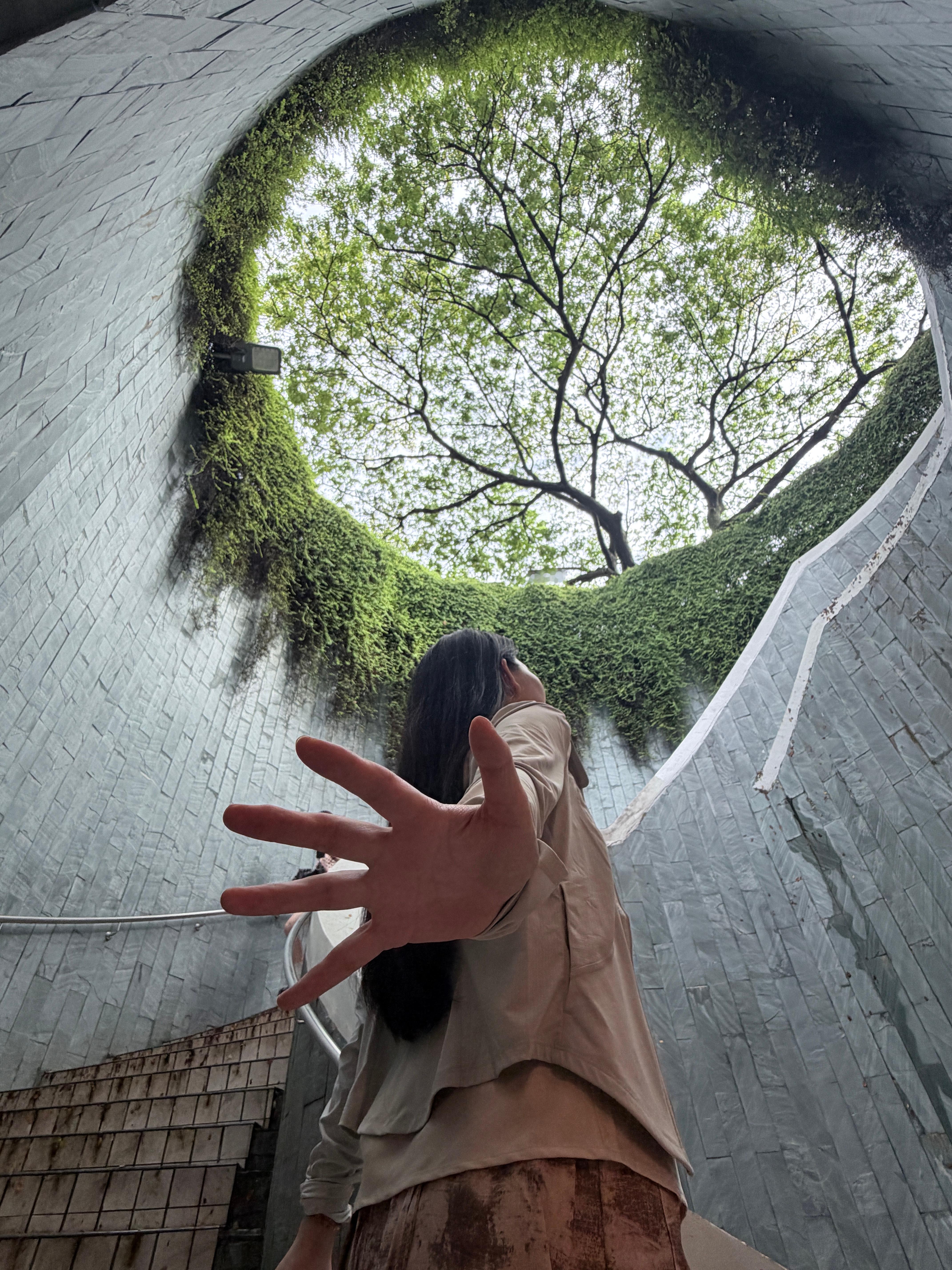 网红打卡点来了 全是人！！ 新加坡·Fort Canning Tree Tunn