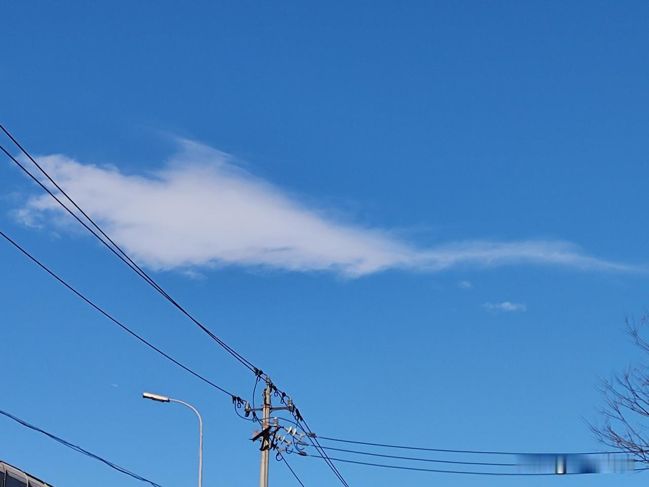 美国石油公司大多集中在得克萨斯州，主要是因为该州拥有丰富的油气资源、优越的地理位