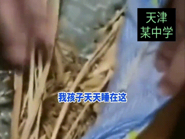 天津一中学宿舍，3000元床垫用杂草填充?
家长:我孩子天天睡在这，怎么和我解释