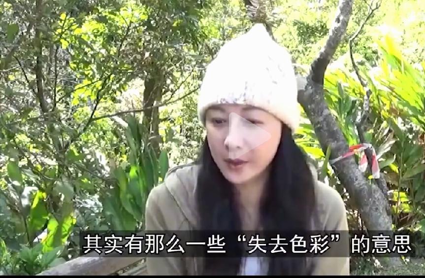 吴绮莉公开成龙拒认吴卓林原因

         即日，吴绮莉直播回应多年争议，