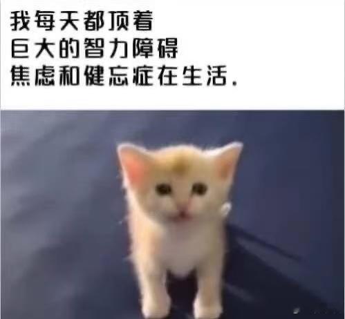 一点了没睡的人在干嘛 