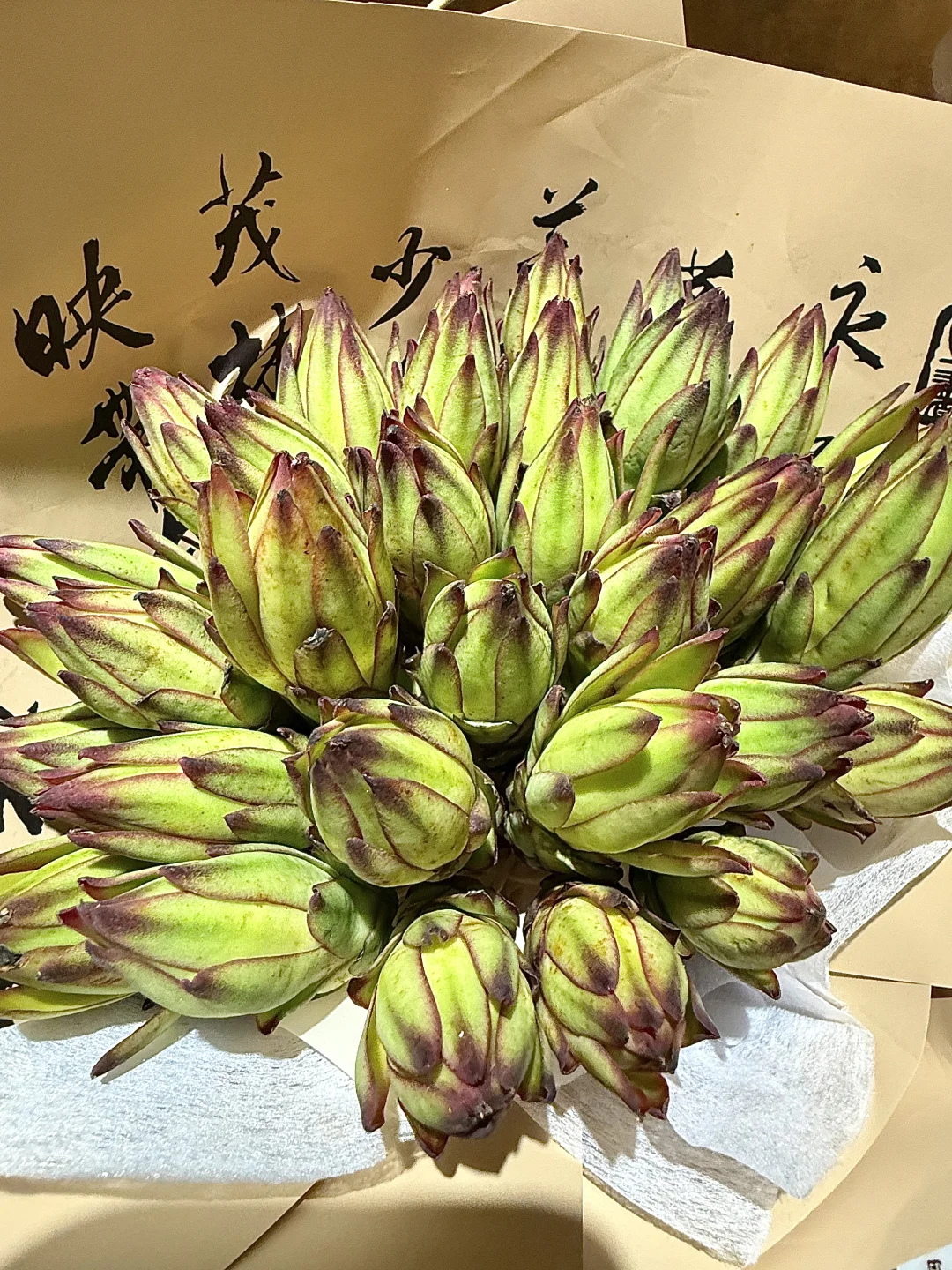 大连也有了！！！长见识了。。