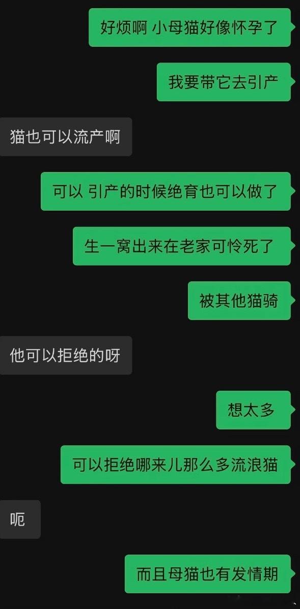 民间艺术观察 养猫能辟邪是真的