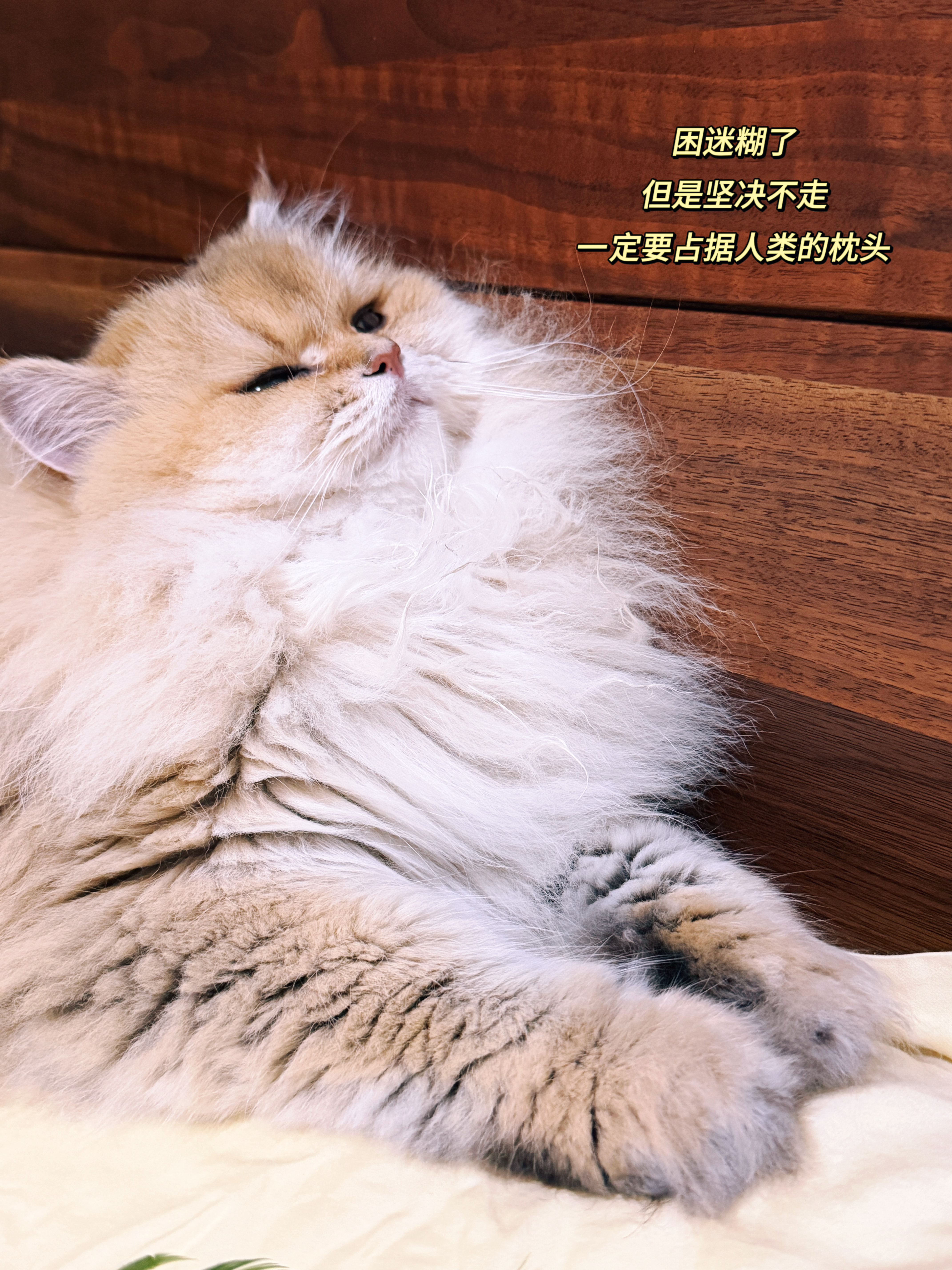 近日🧩周末大家打算怎么过我只想在家待着… 