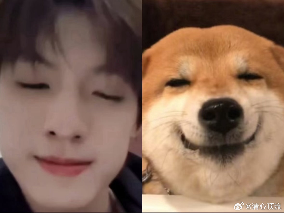 张泽禹发一下小猫张泽禹把粉丝文化玩成了“沉浸式彩蛋”。连小猫打哈欠的时机都像精心