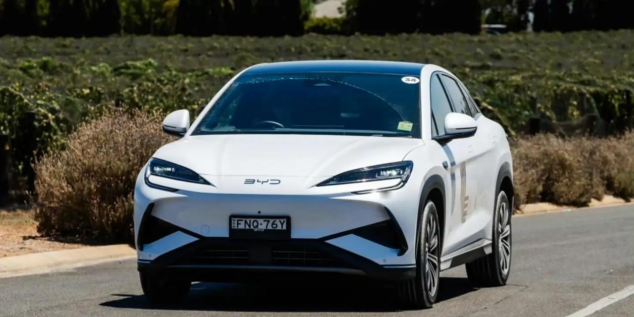 2025年比亚迪新能源汽车出口100万辆，比亚迪海豹，海狮，海鸥，以及宋成主力出