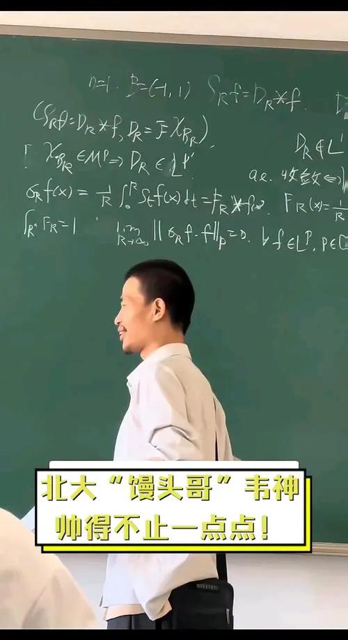 年是关键一年，希望他不要被汰
韦东奕是北京大学正式编制的助理教授，属于青年教师，
