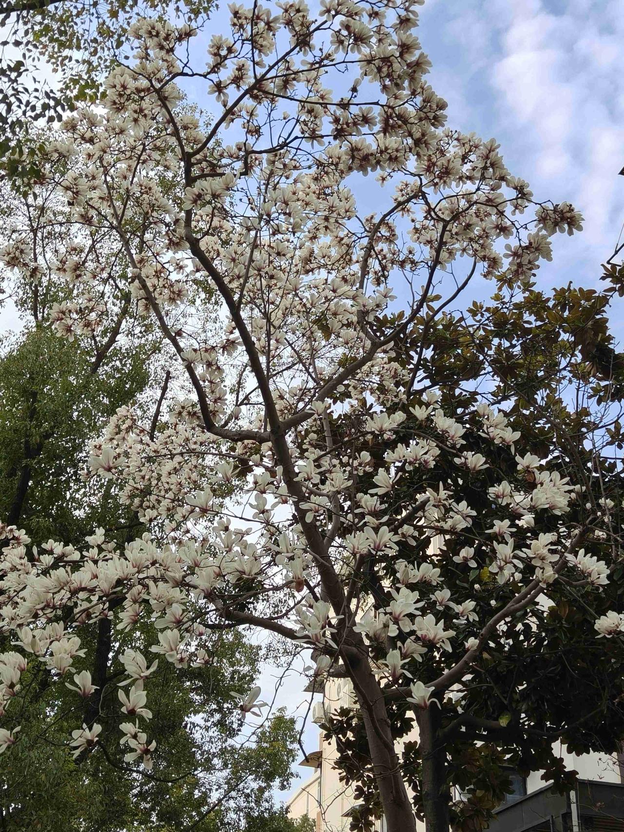 我的今日状态：🥲强颜欢笑
我这里的天气：🌤️多云