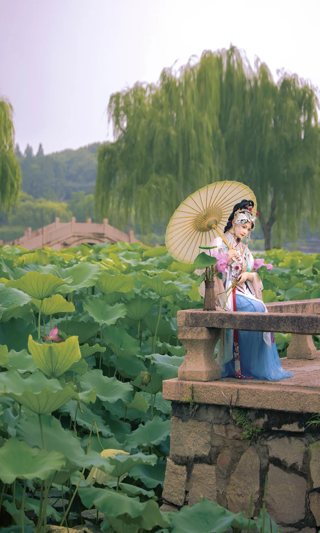“接天莲叶无穷碧”🪷