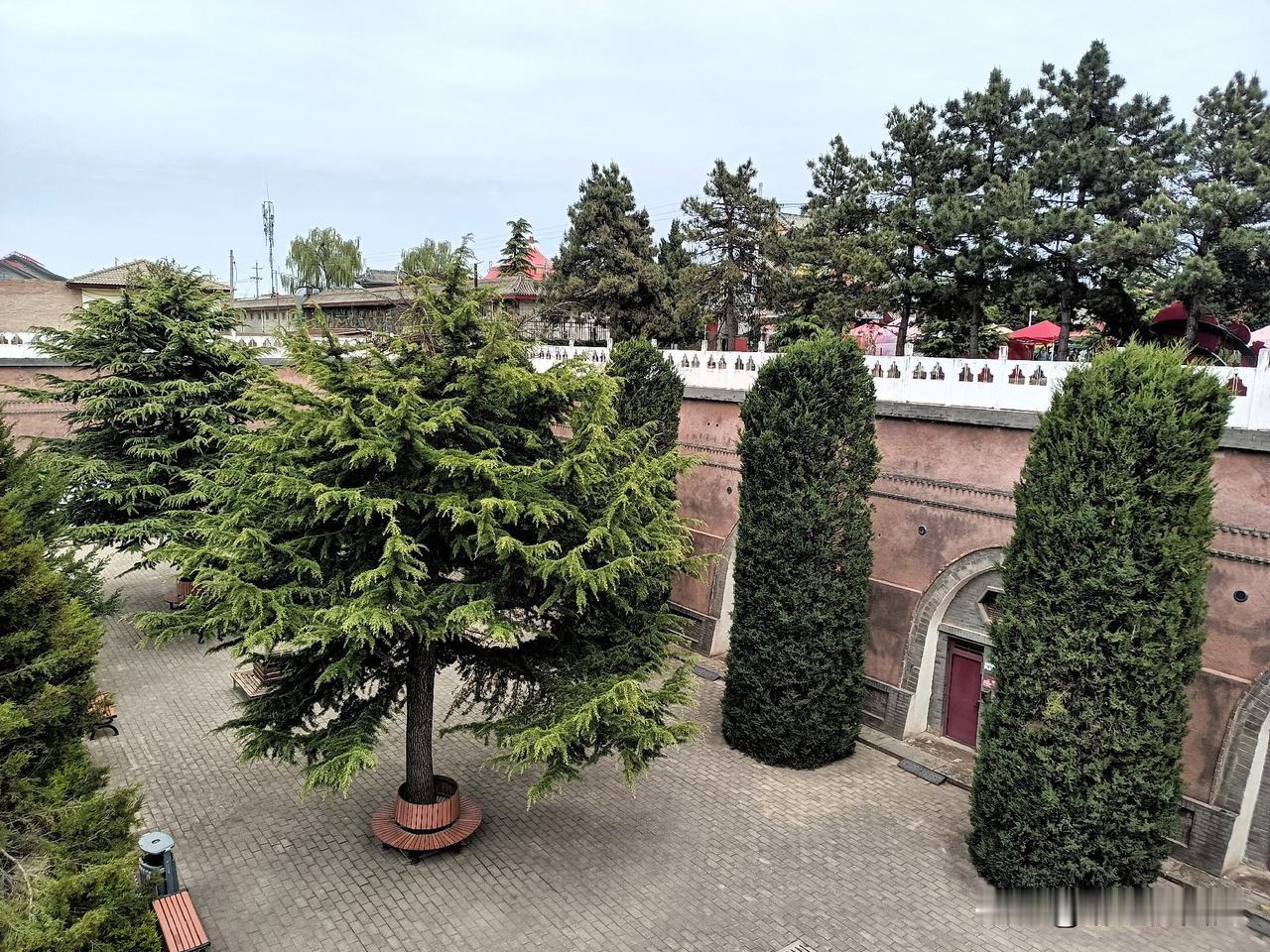 若要心情好，院内景观不能少。

看二姐近日老家实拍图，看看庆阳人地坑院内，窑洞门