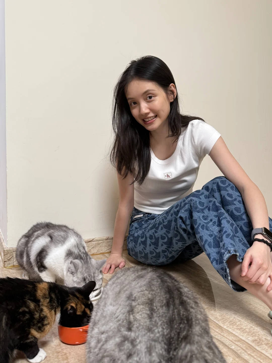 猫咪日🐱