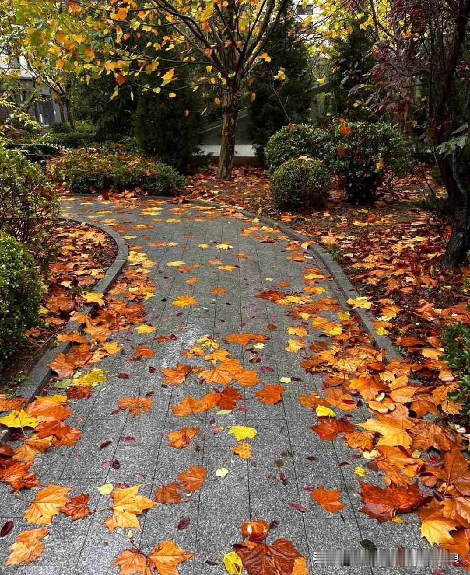我的今日状态：😁轻松愉快
我这里的天气：☁️阴天
