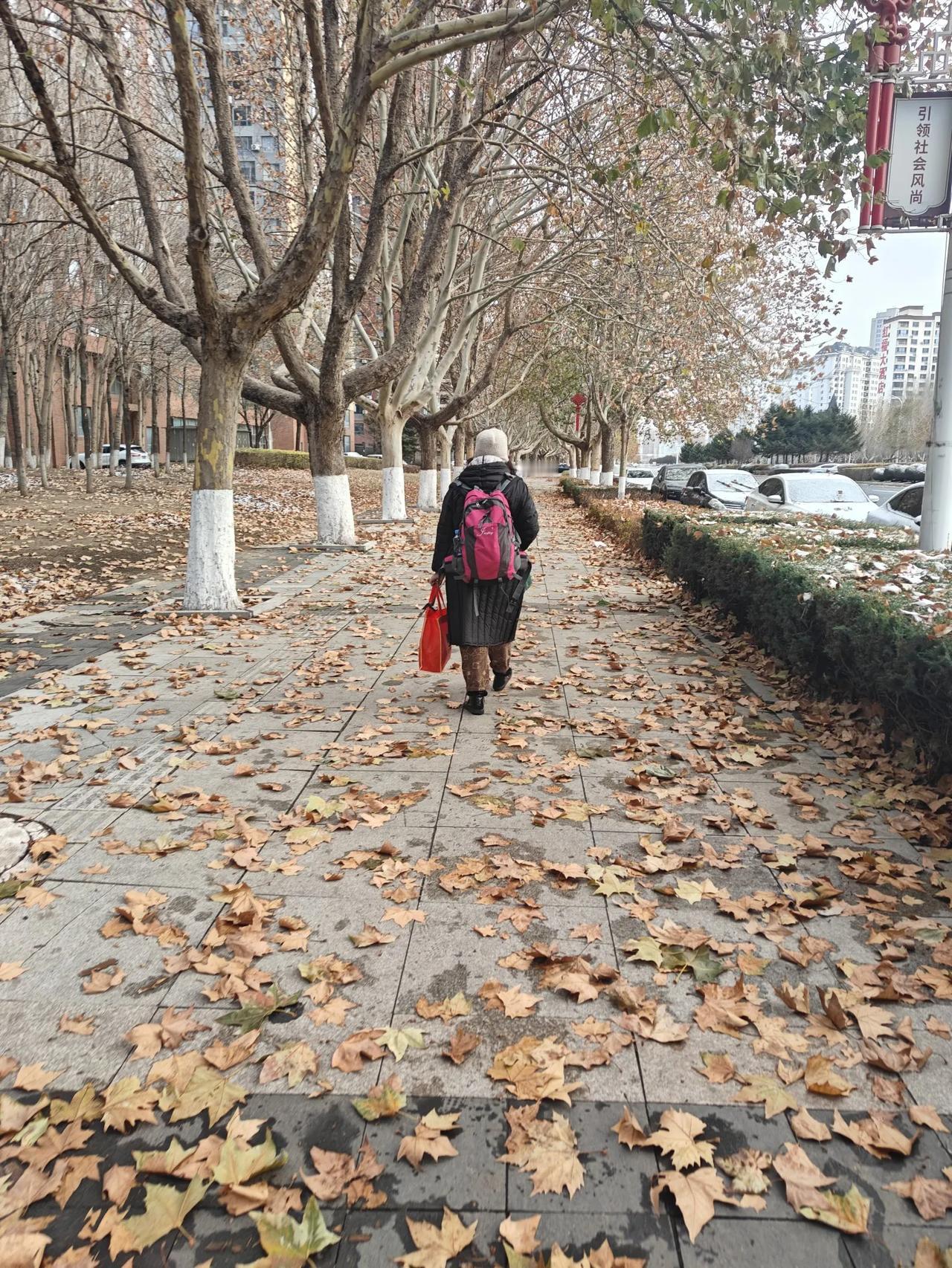 派往家乡哈尔滨，代替我去给小兄弟尚磊“送行”向家人致哀的女人，今天上午回来了，坐
