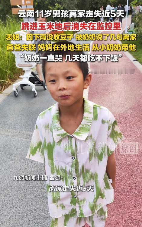 担心的事情还是发生了！云南昭通11岁男孩因没及时帮奶奶收豆子，赌气离家后失联， 