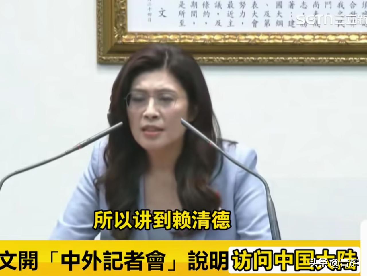 郑丽文主动表态，访问大陆前愿见赖清德，台湾不能再无穷恶斗了
30号当天下午郑丽文