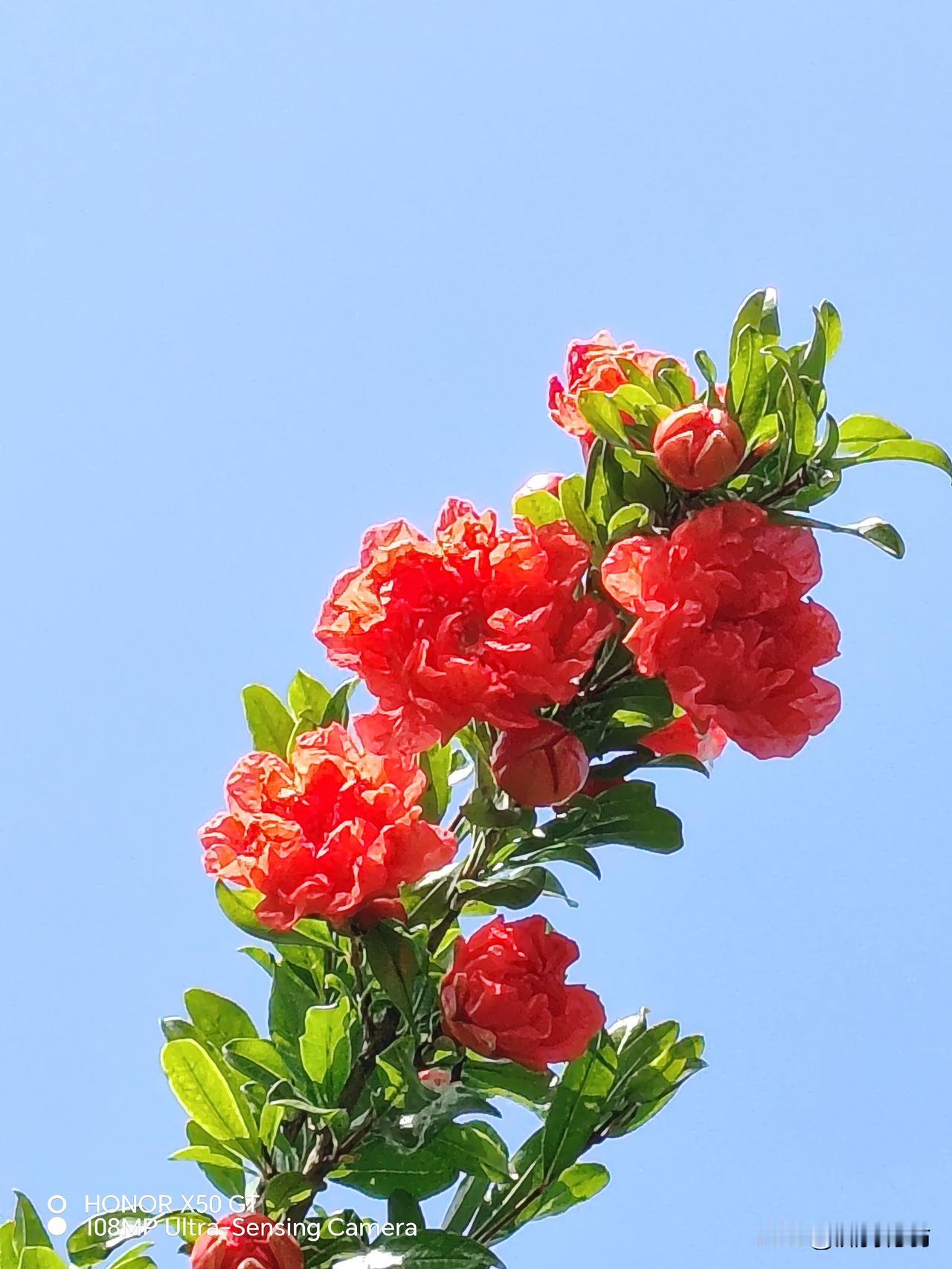 上联：春有百花秋有月，求下联冬无红荷夏无雪