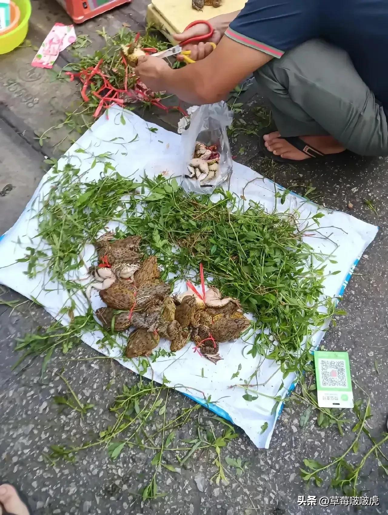一个敢卖，一个敢买，真是太牛了！[捂脸][捂脸]