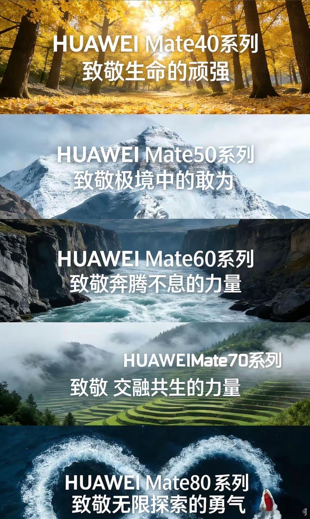 啥气候发呀，到底涨不涨价？好多人还在观望呢，这得抓紧，哪一些没预算冲iPhone