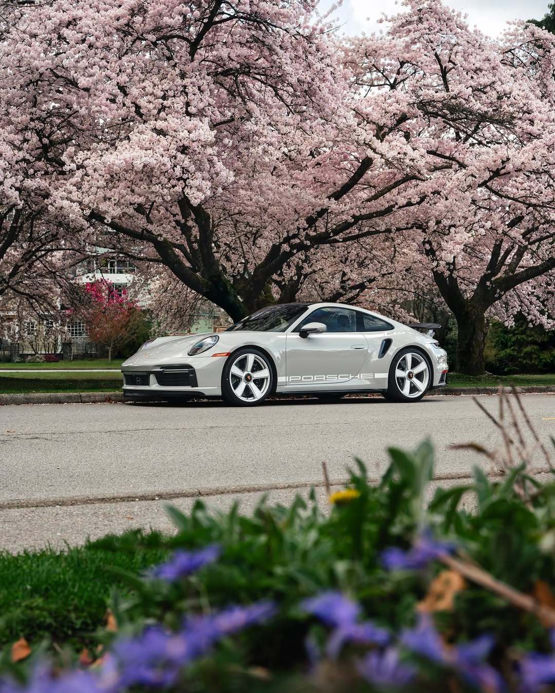 Porsche 911 Turbo 50 years ​​​