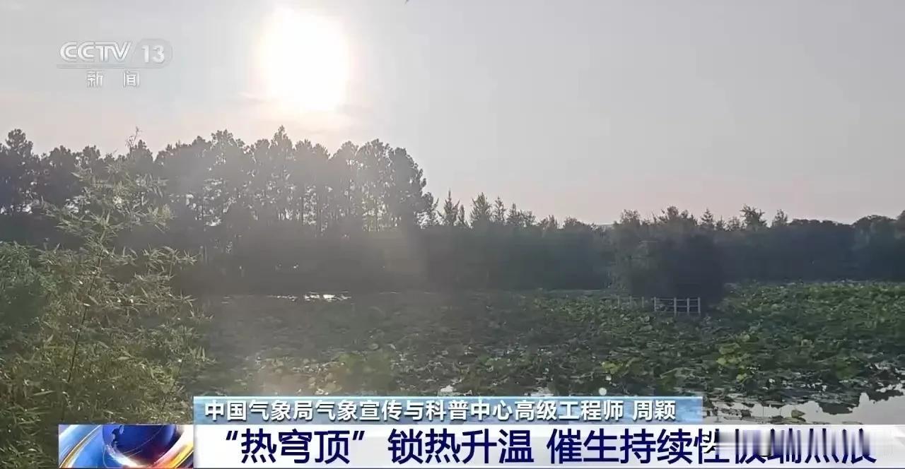 事情开始不对劲了，地球好像得了精神分裂。2026全球极端气候实测报告显示，法国热