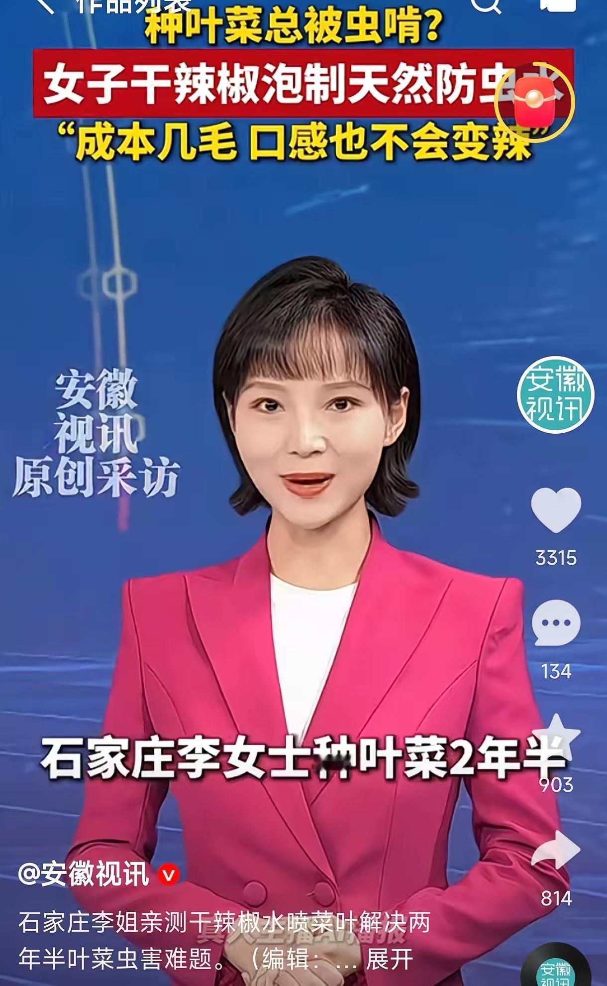 人怎么这么聪明！河北石家庄，一女子在家种青菜，结果小苗还没长大，就被虫子啃成了“