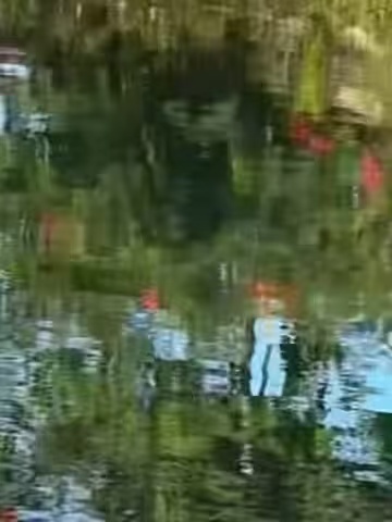 生活，需要一点阳光，生命，需要一些勇敢，纠结过去，担心未来，都不如抓住当下，过去