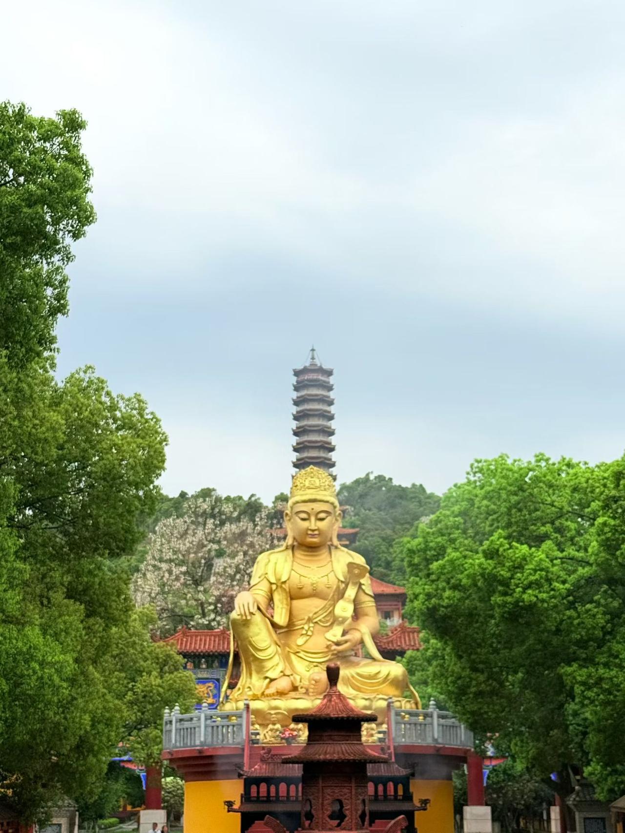 我认为不太好，不过要分什么礼物，贵重的不要别人也会主动归还[呲牙][呲牙][赞]