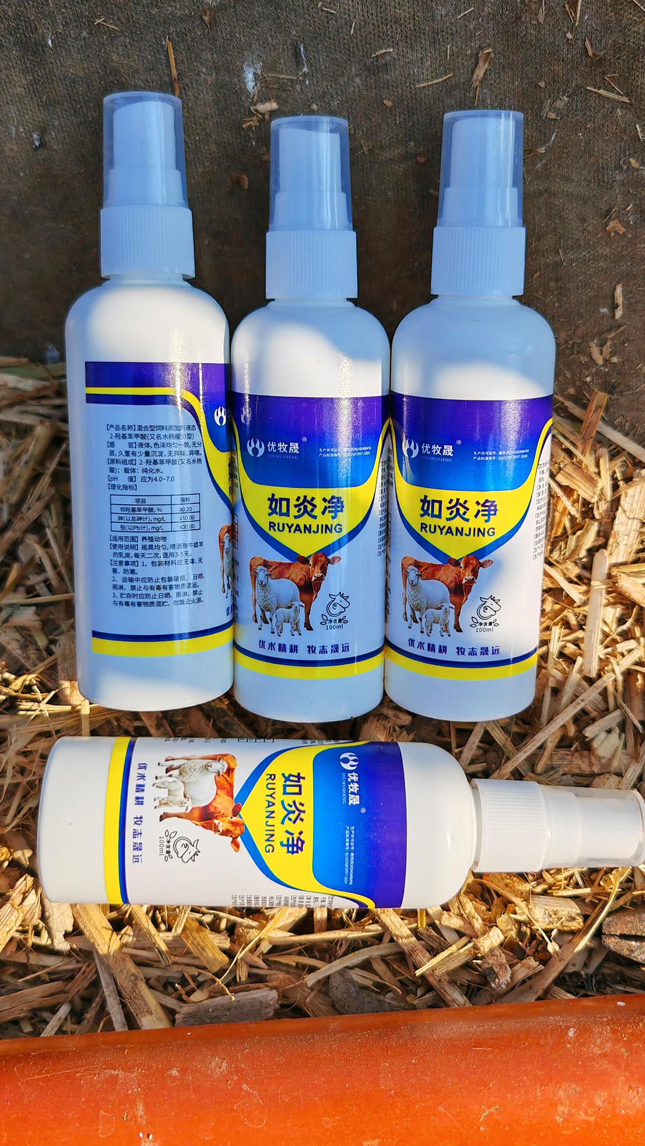 养羊人 农村养羊 牛羊养殖