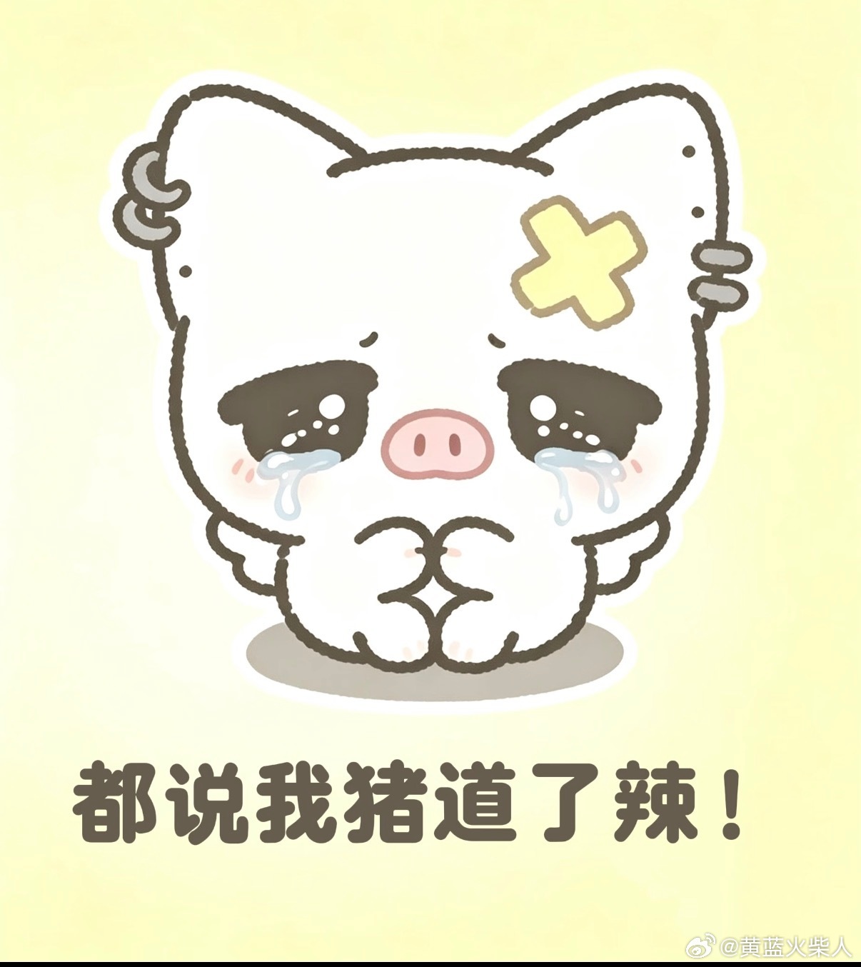 朱志鑫[超话] 大家最近发帖都带上为朱志鑫守护星愿这个呀！ ​​​
