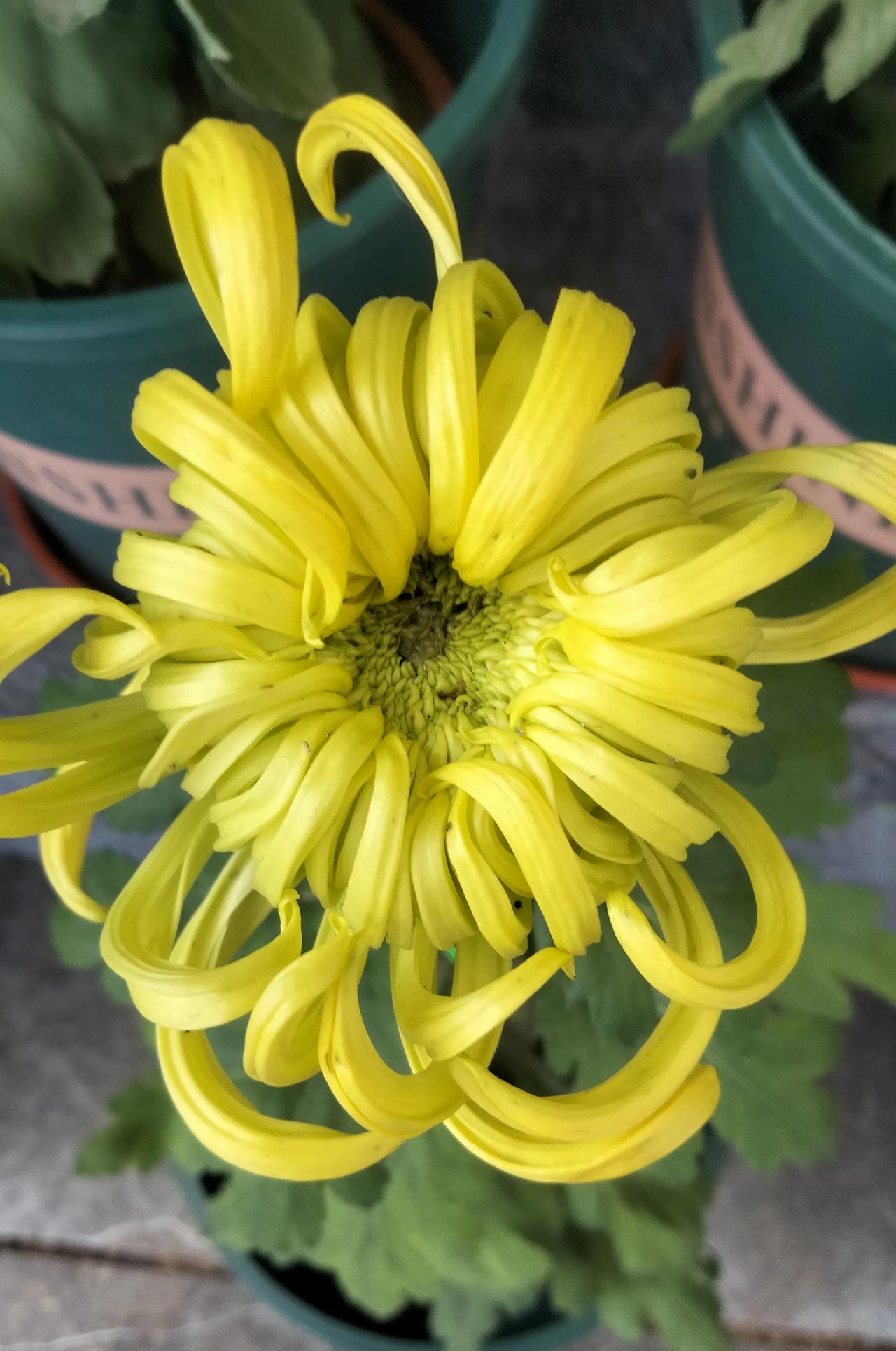 你又不是人民币，哪能人见人爱呢。
你要取悦所有人，也要看人家买不买账呀，上赶着的