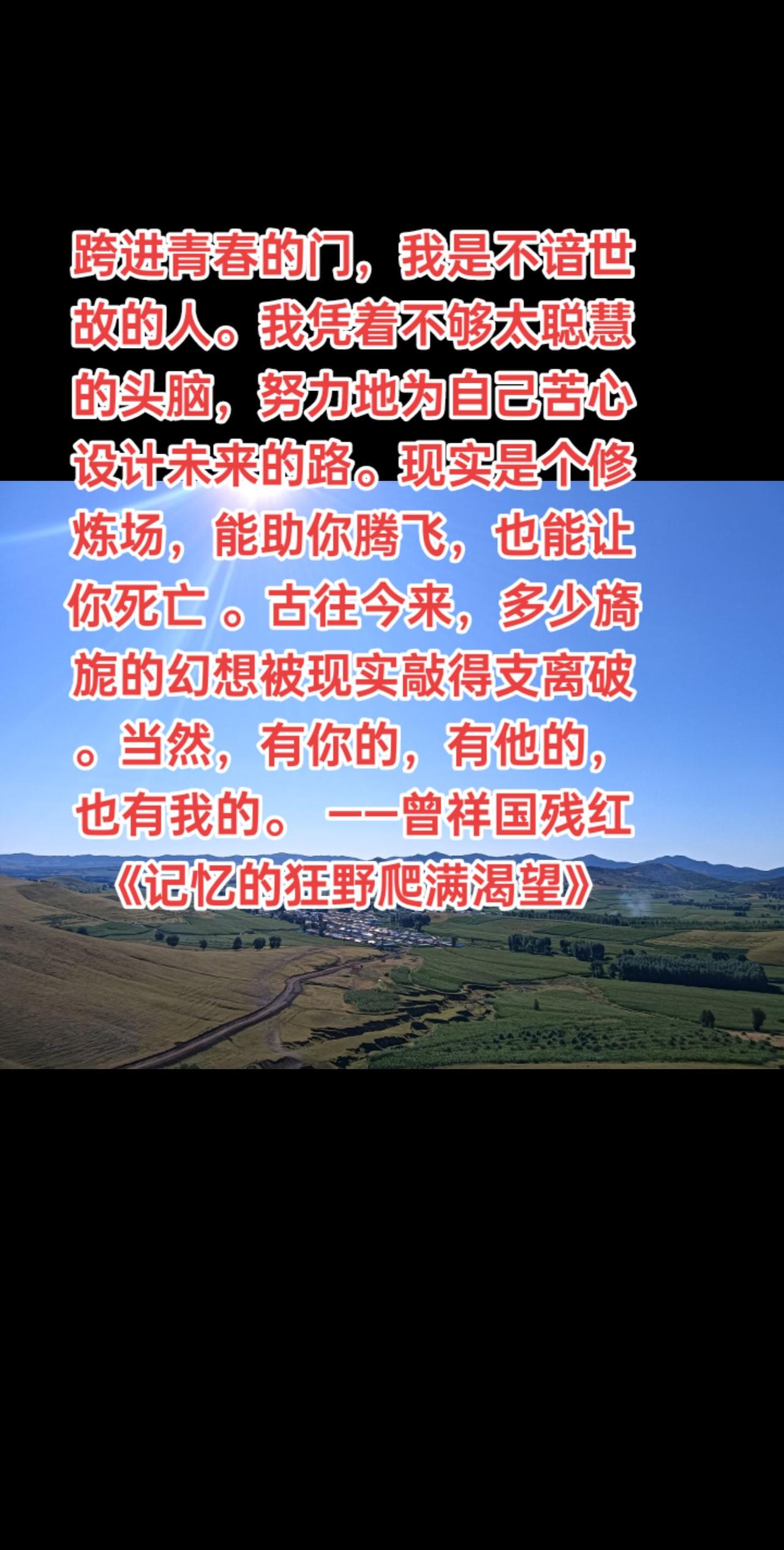 跨进青春的门，我是不谙世故的人。我凭着不够太聪慧的头脑，努力地为自己苦心设计未来