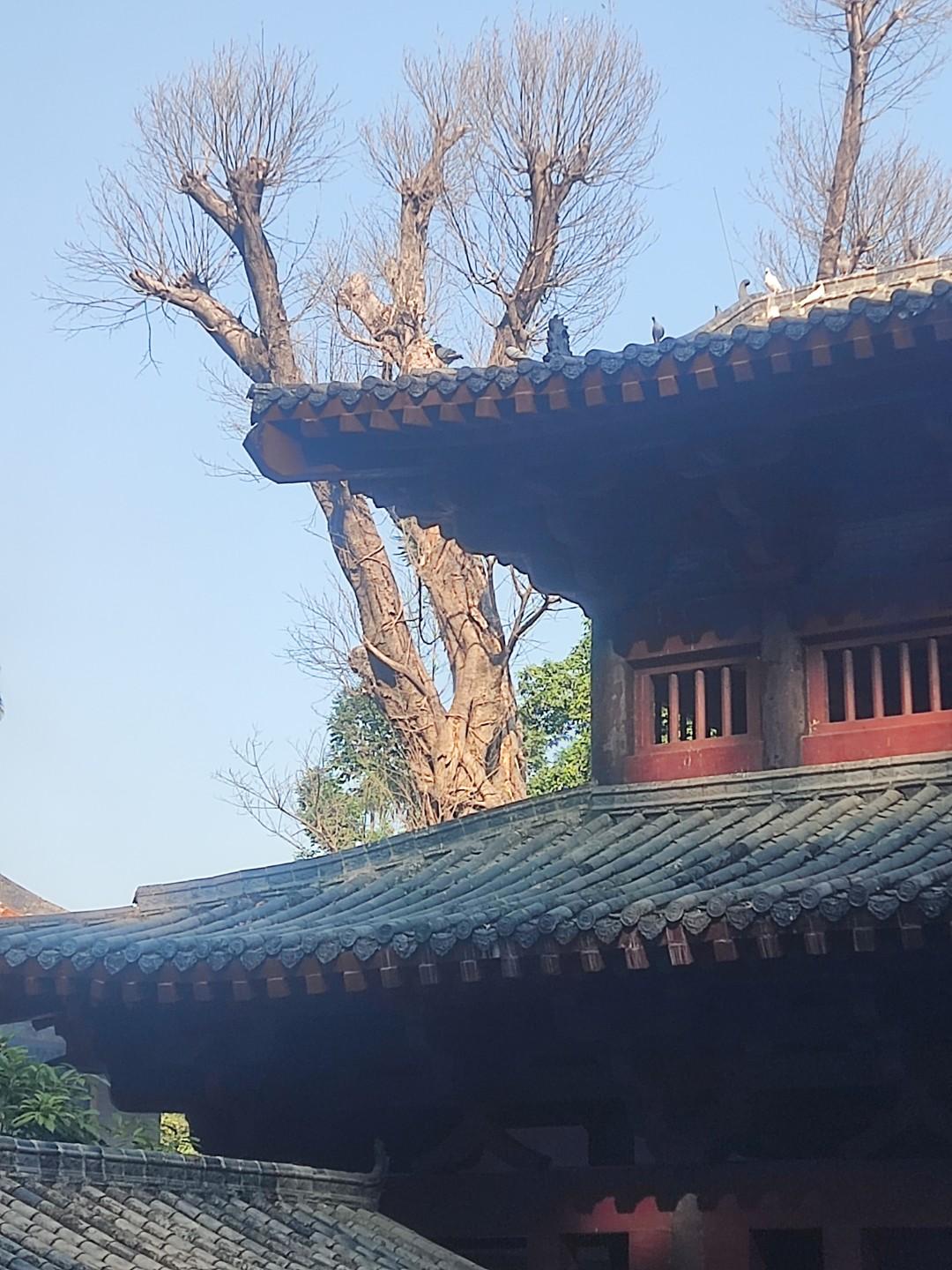 今年五一最舍不得删的照片小长假可以哪都不去，不能不去庙里烧个香。不为别的，就为了