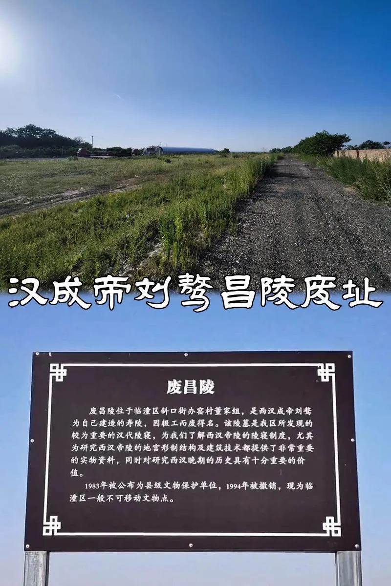 如何评价汉成帝刘骜？

关于成帝时期外戚做大， 以至于王莽篡汉的问题， 我有一个