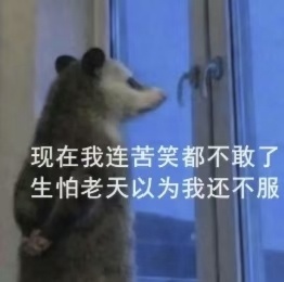 打不开aff宝宝们先别着急呀，我一会儿打包完快递去转文件。 